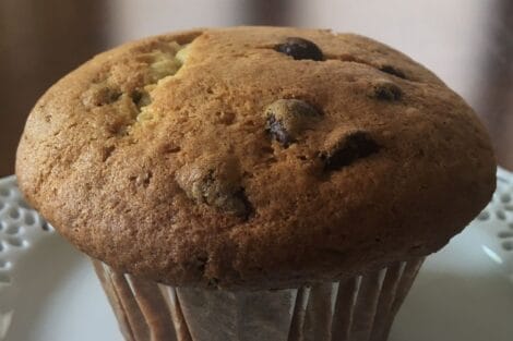 chocolate chip vanilla muffin