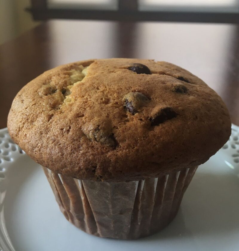 chocolate chip vanilla muffin