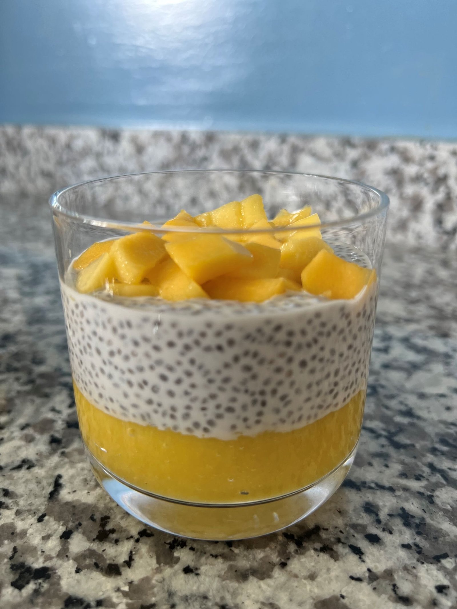 Mango Chia Pudding Dessert