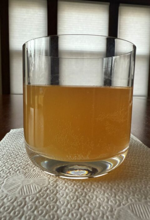 homemade kombucha