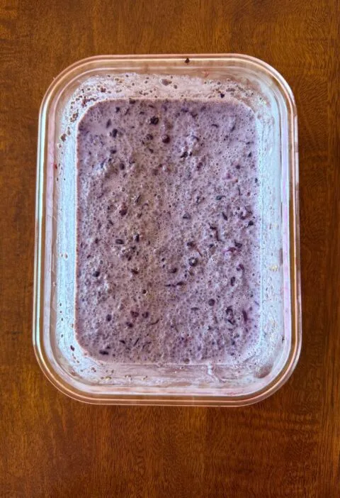 blueberry chia snack