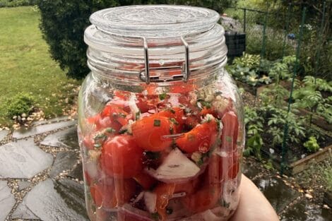 grape tomato