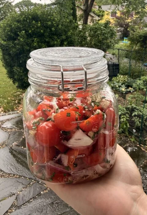 grape tomato